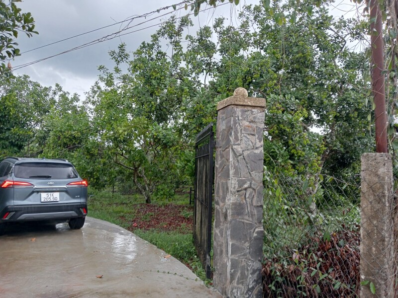 Vườn Chôm Chôm, Diện tích 2000m2,(có 60m2 thổ cư) giá đầu tư liên hệ 0974 728719