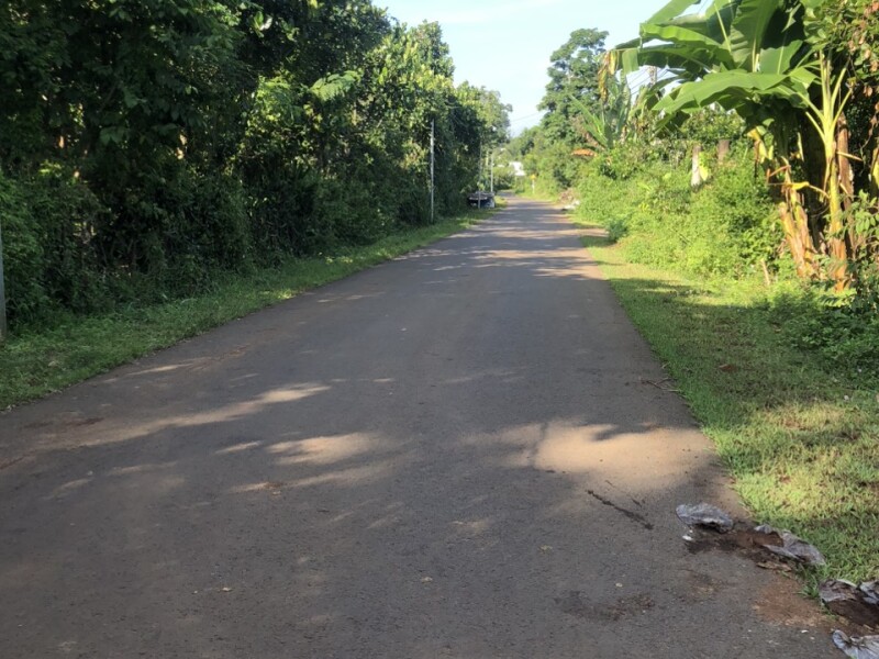 Bán Gấp, dt 2000m2, Giá Đầu Tư, Đường Nhựa, P Bảo Vinh-Tp Long Khánh-Đồng Nai