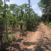 Bán Gấp, dt 6508m2, có 200m2 thổ cư, Giá Đầu Tư, Xã Xuân Phú-H Xuân Lộc-Đồng Nai, zalo 0974 728719