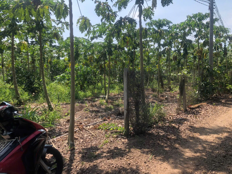 Bán Gấp, dt 6508m2, có 200m2 thổ cư, Giá Đầu Tư, Xã Xuân Phú-H Xuân Lộc-Đồng Nai, zalo 0974 728719