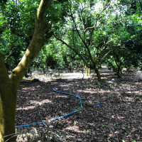 Bán gấp lô đất 2 mặt tiền đường-Phường Bình Lộc-Đồng Nai